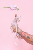 Où commander un kit de faux tatouage ?