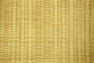 Pourquoi choisir le brise vue bambou ?
