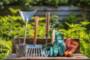 Les 5 outils de jardin indispensables à tout jardinier !